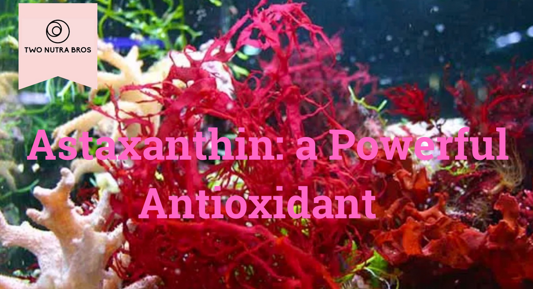 Astaxanthin: The Powerful Antioxidant for Men's Health