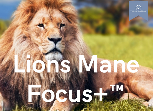 Unlock Your Cognitive Potential with Lion’s Mane Focus+