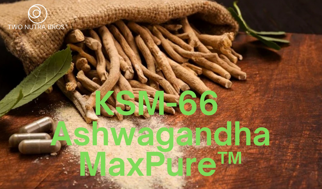 Ashwagandha MaxPure™ - KSM-66 root - high potency - clean supplement - ashwagandha milk