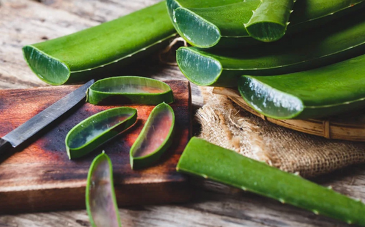 Aloe Vera for Digestive Health: How Aloe Colon Complex Can Help Digestion and IBS