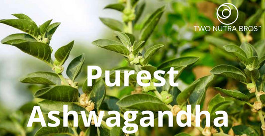 Ashwagandha Unleashed: The Powerful Benefits and How to Use This Ancient Adaptogen