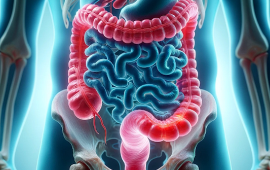 Why Digestive Enzymes are Essential for Gut Health
