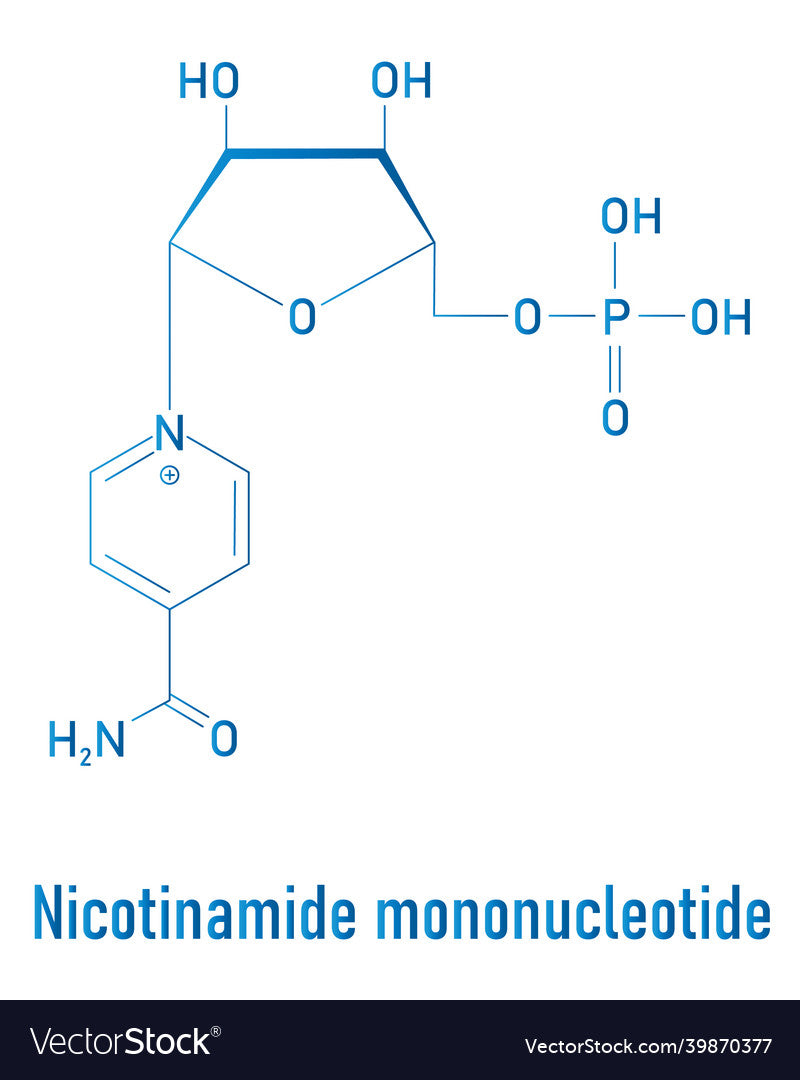 NMN vs. NR: Which NAD+ Booster Is Superior for Health and Longevity?