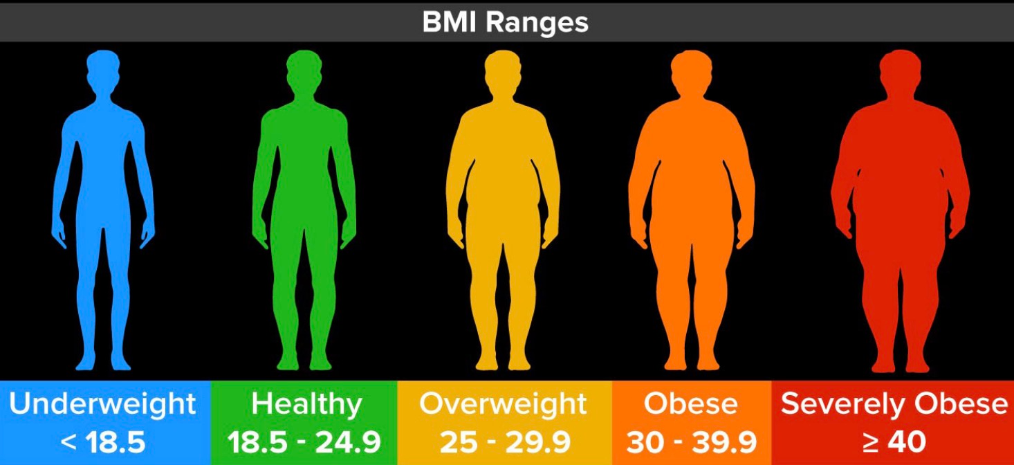 mens BMI health chart - weight loss supplements